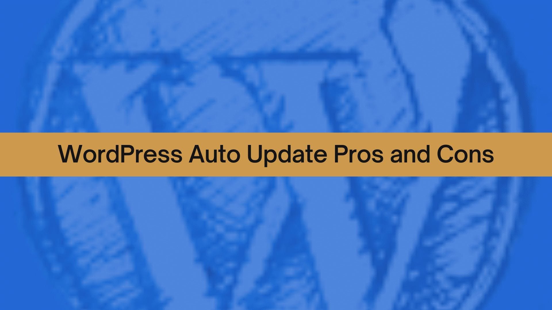 PLRVD WordPress Auto-Update pros and cons